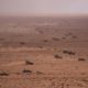 Remains of US soldier who went missing during military exercises in Morocco recovered