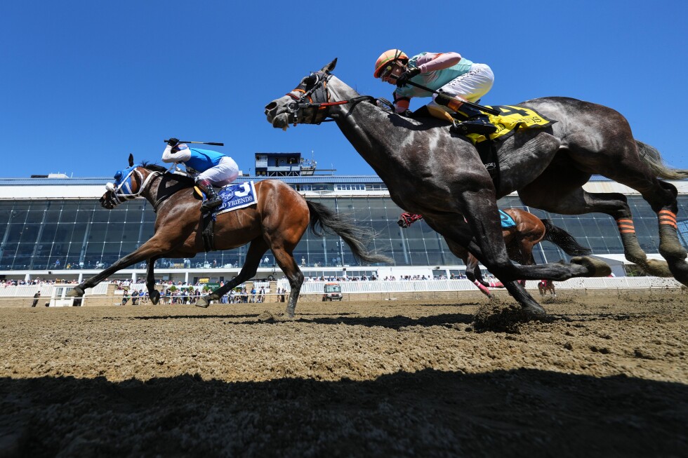 Preakness Day is underway in a quiet scene at Laurel Park