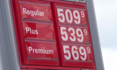 Most Americans are cutting back even as US markets roar, survey shows