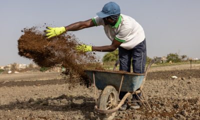 Iran war forces global farmers to seek alternatives to chemical fertilizer