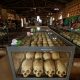 Rwandan genocide suspect Kabuga dies in The Hague at age 91