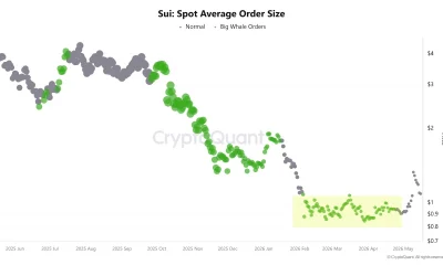 SUI Price Holds at $1.06 as Chart Base and Whale Accumulation Signal a Potential Reversal