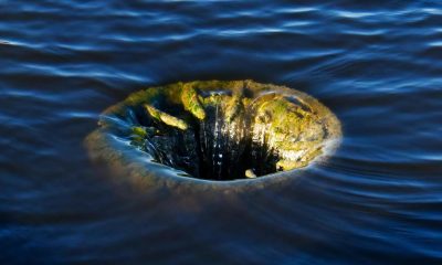 Bitcoin's rebound triggers the most short liquidations since late April