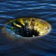 Bitcoin's rebound triggers the most short liquidations since late April