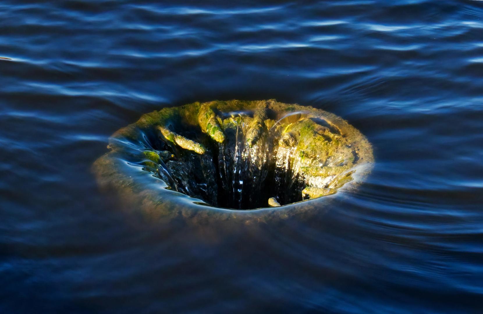 Bitcoin's rebound triggers the most short liquidations since late April