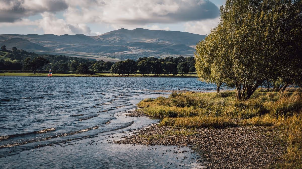 Wales Online
