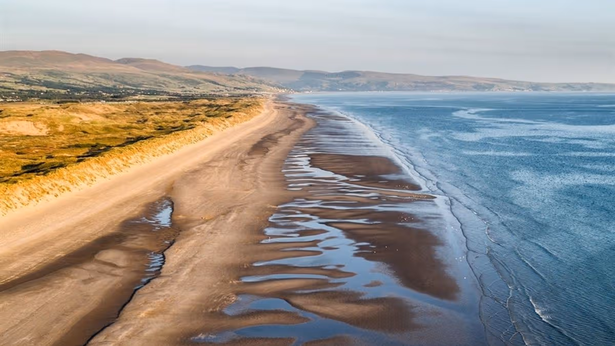 Wales Online