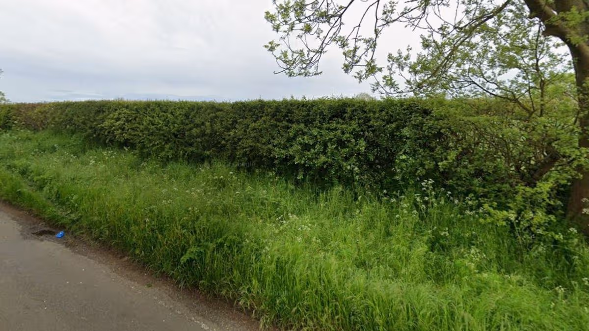 Cambridgeshire Live