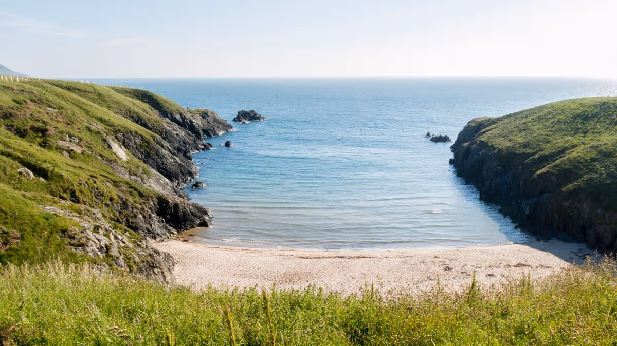 Wales Online