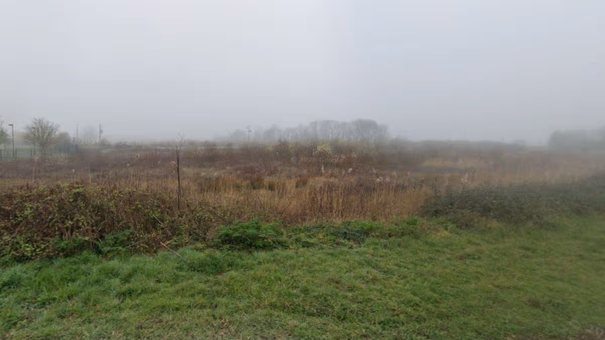 Cambridgeshire Live