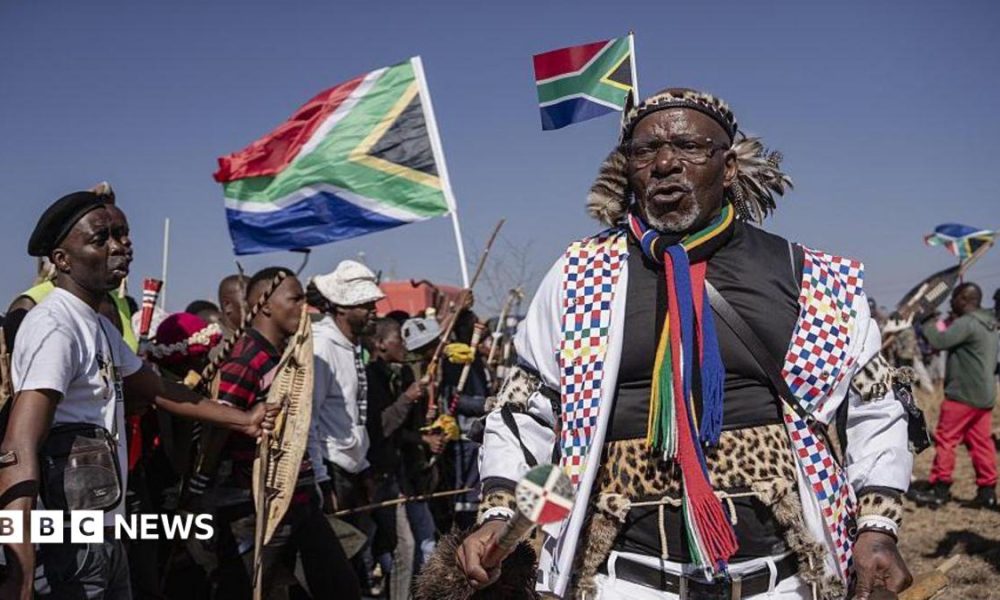 Hundreds of protesters marching outdoors, chanting and holding south african flags and signs