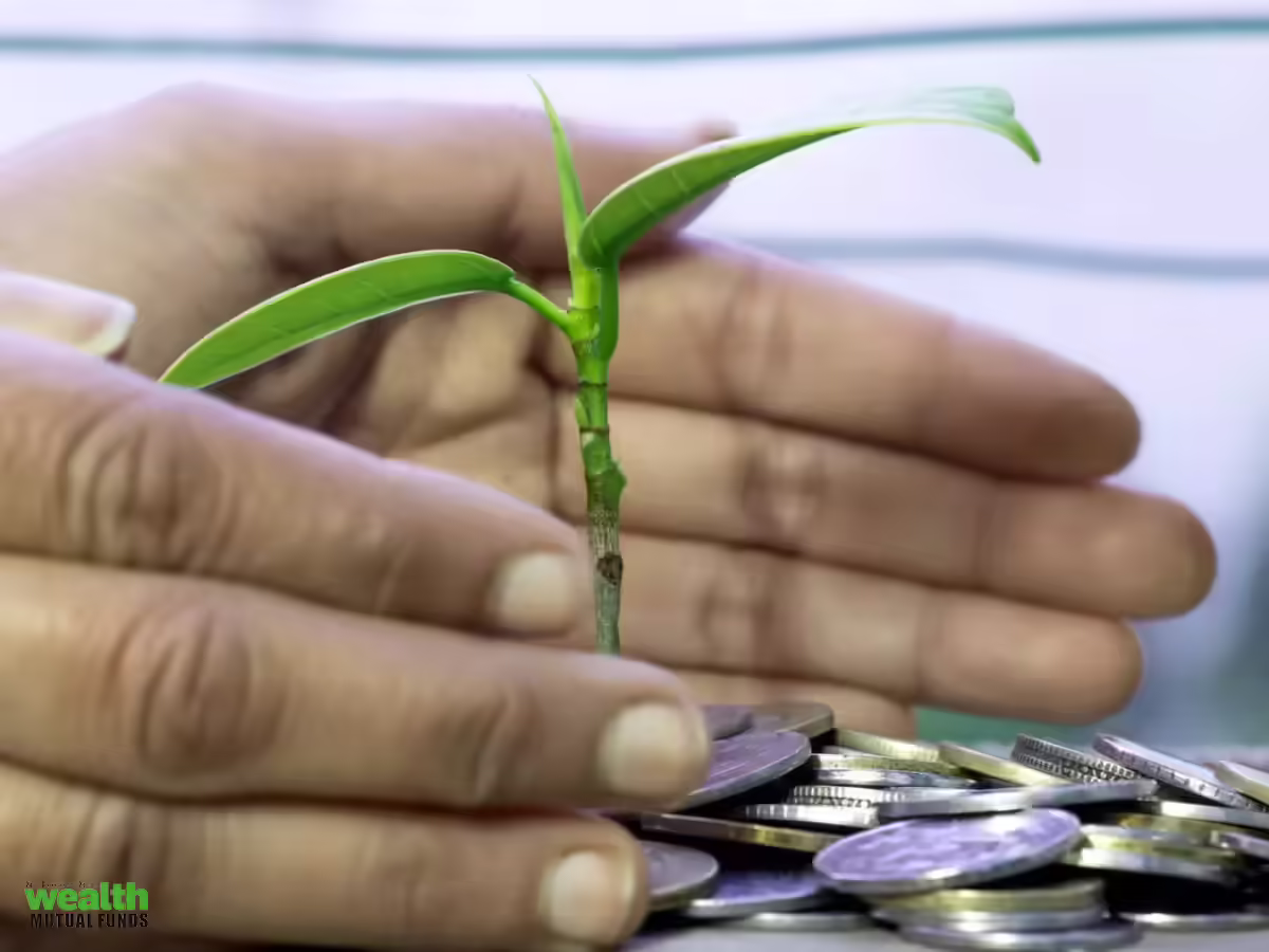 Edelweiss Small Cap, 7 other smallcap funds that have shown consistent performance over last 5 years - Performance Tracker