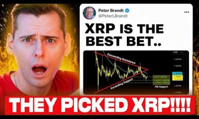 OMG THEY PICKED XRP!!! ("XRP IS THE BEST YET")