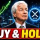 BUY XRP & DO NOTHING! - EVEN STELLAR CEO SAID MULTIPLE NETWORKS! - FLR WILL RUN WITH XRP!