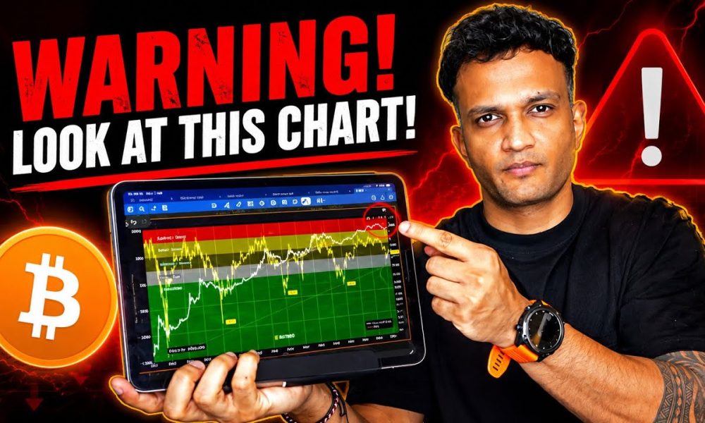 WARNING : BITCOIN NUPL CHART