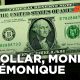 Le roi dollar | MONEY | ARTE