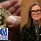 ‘Institutional adoption’ is driving Bitcoin, CEO says
