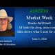 askSlim Market Week 06/05/26 - Analysis of Financial Markets