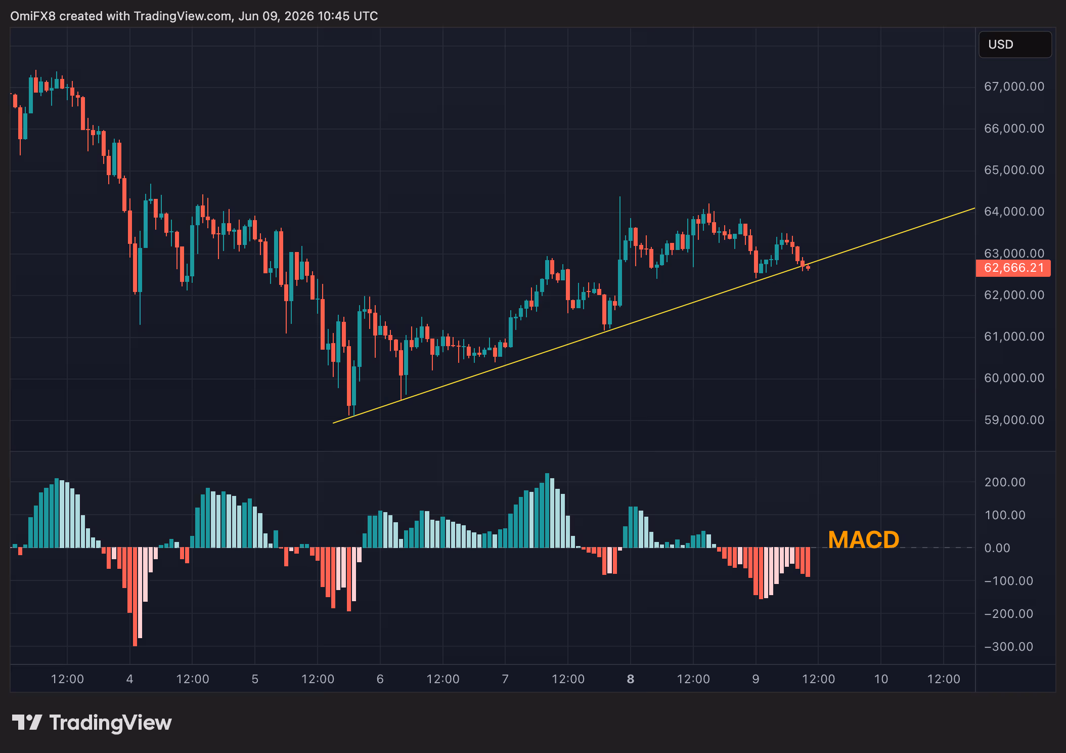 BTC's price chart with the MACD histogram. (TradingView)