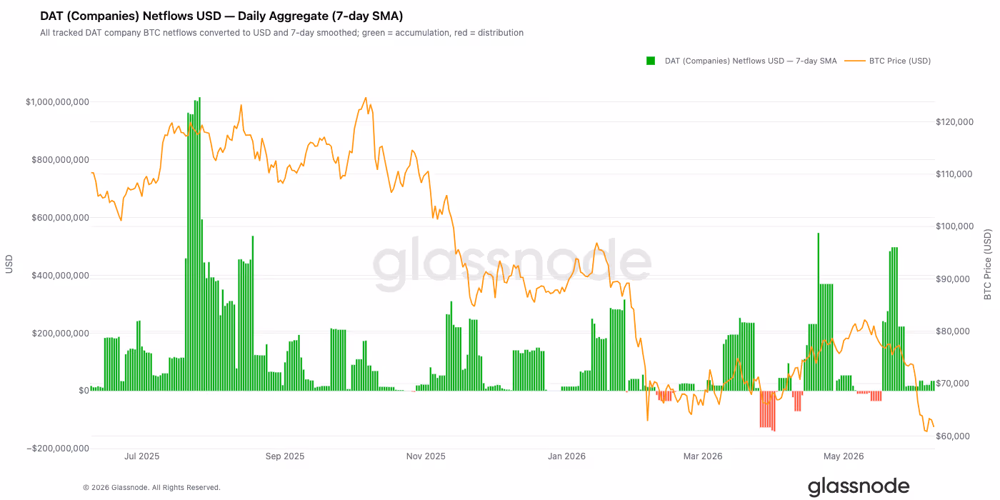 Daily purchases by DAT firms, smoothed using a 7-day moving average. (Glassnode)