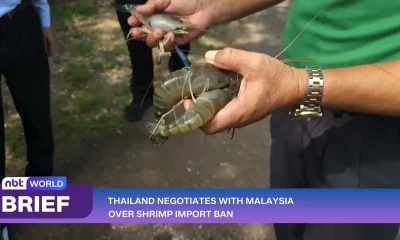 Thailand and Malaysia in Talks to Resolve Shrimp Import Ban
