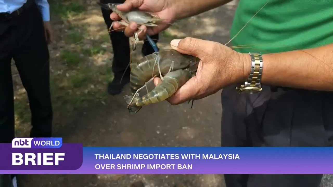 Thailand and Malaysia in Talks to Resolve Shrimp Import Ban
