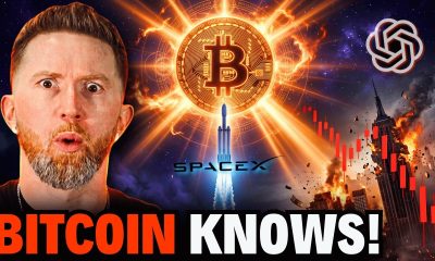 Did Bitcoin's 53% Fall Front Run the A.I. Market Collapse?