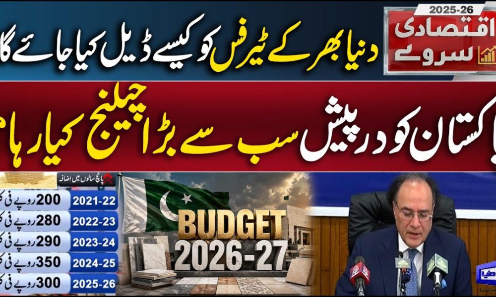 Pakistan Economic Survey Released! Finance Minister Muhammad Aurangzeb Addresses Nation | Dunya News