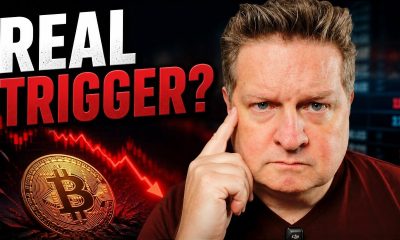 The Real Trigger Behind the Bitcoin Crash No One is Talking About | Dana Love, PhD