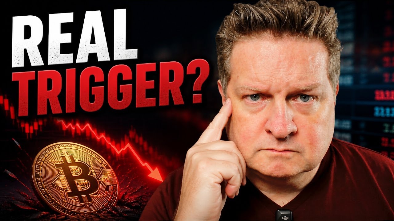 The Real Trigger Behind the Bitcoin Crash No One is Talking About | Dana Love, PhD