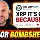 SENATE JUST DROPPED A MAJOR XRP CLARITY BOMBSHELL...SYSTEMICALLY IMPORTANT