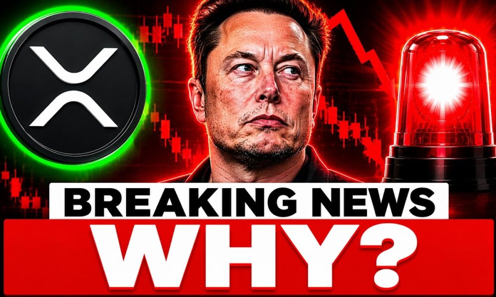 XRP JUST IN! ELON MUSK THE REASON WHY CRYPTO IS CRASHING?!