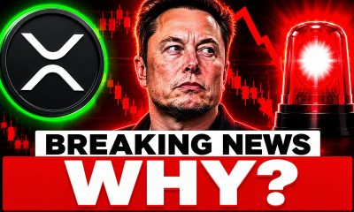 XRP JUST IN! ELON MUSK THE REASON WHY CRYPTO IS CRASHING?!