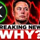 XRP JUST IN! ELON MUSK THE REASON WHY CRYPTO IS CRASHING?!
