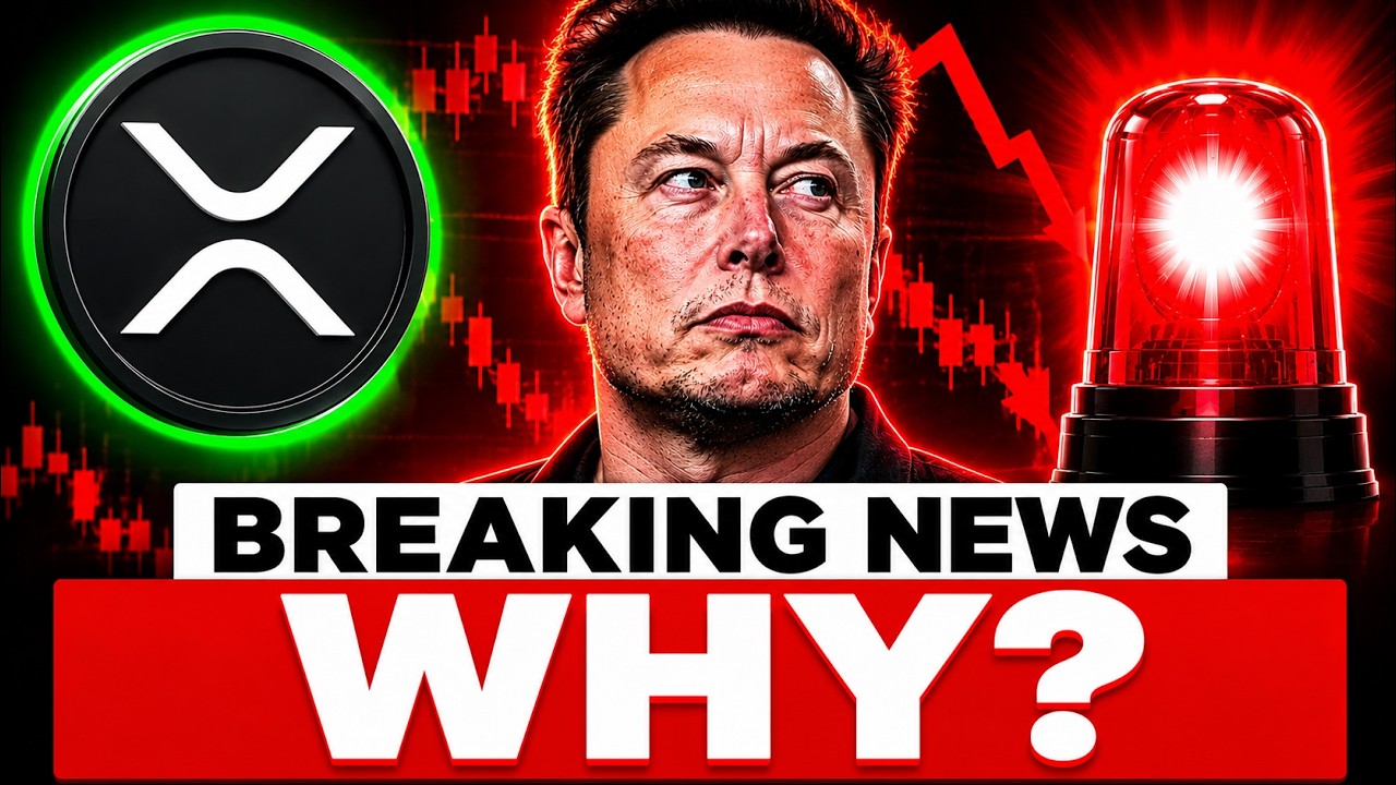 XRP JUST IN! ELON MUSK THE REASON WHY CRYPTO IS CRASHING?!