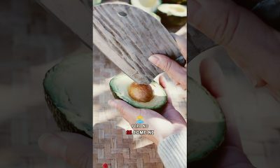 Smart Women Achieve Financial Freedom Through Avocados. #youtube #foryou #diy #didyouknow