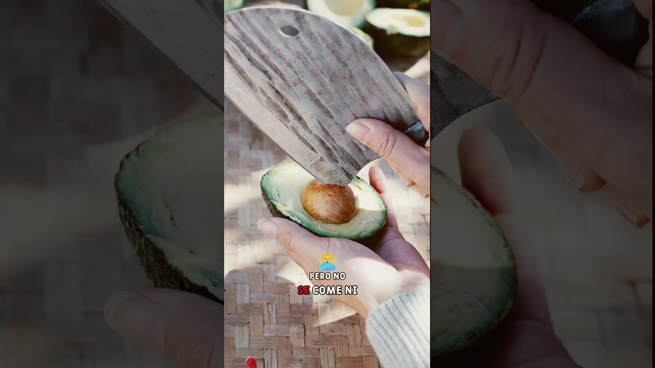 Smart Women Achieve Financial Freedom Through Avocados. #youtube #foryou #diy #didyouknow