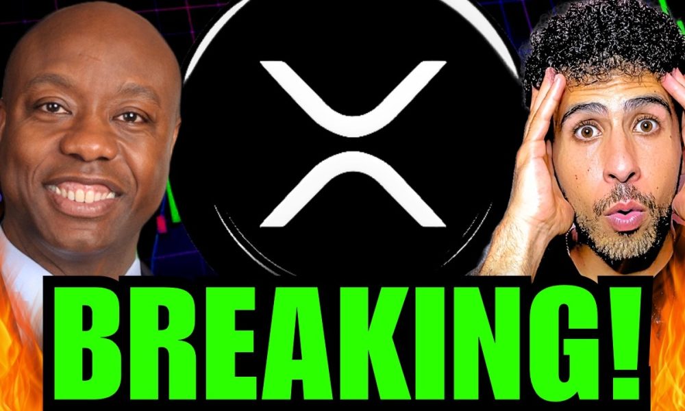 XRP BREAKING NEWS!!! (U.S. SENATOR DROPS A HUGE WARNING ON CRYPTO!)