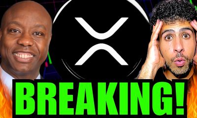 XRP BREAKING NEWS!!! (U.S. SENATOR DROPS A HUGE WARNING ON CRYPTO!)
