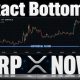 DID HE JUST CALL THE EXACT XRP BOTTOM PRICE?!