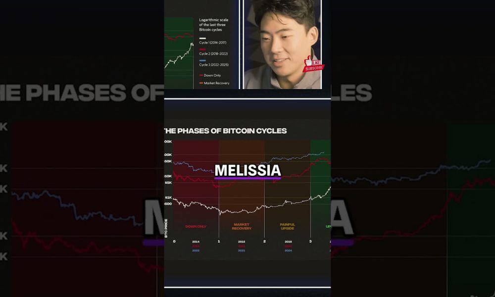 Bitcoin Cycle: Predictable Bitcoin Phases and Halving Events #shorts