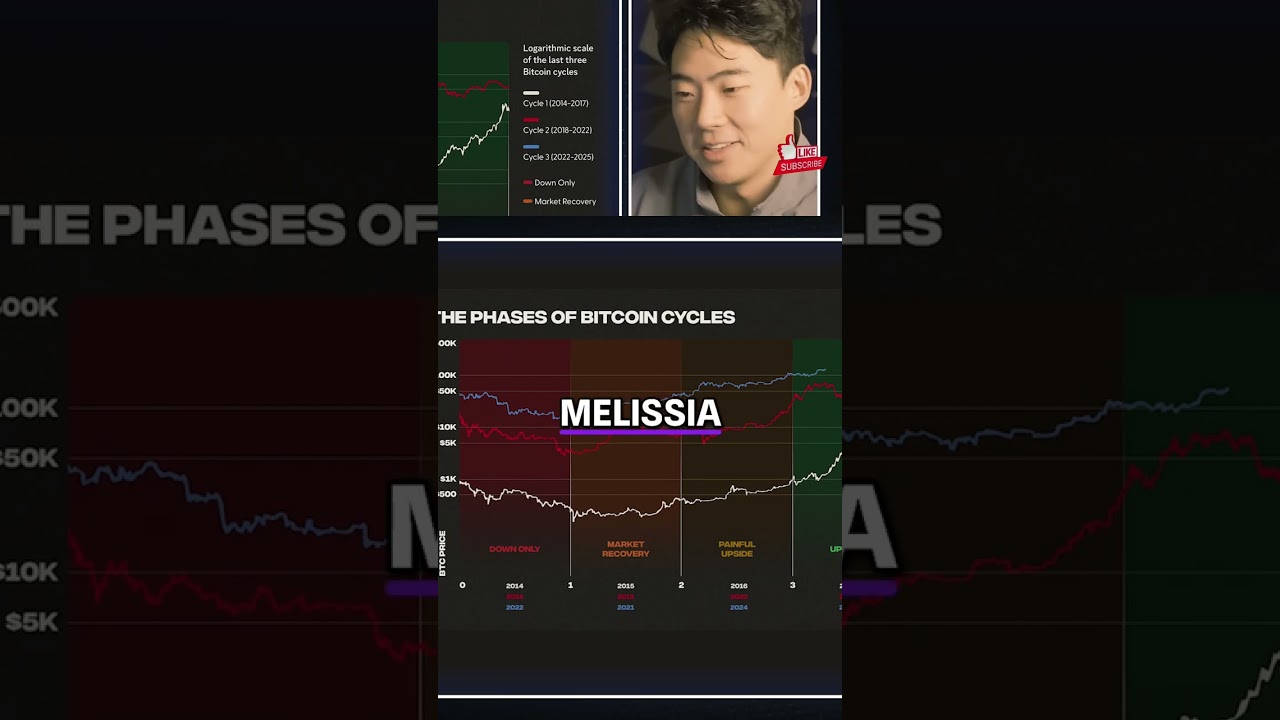 Bitcoin Cycle: Predictable Bitcoin Phases and Halving Events #shorts