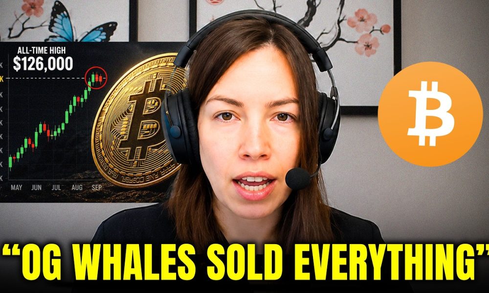 "THEY All LIED! Everyone Is 100% WRONG About this Bitcoin Cycle" - Lyn Alden