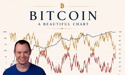 Bitcoin: A Beautiful Chart