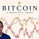 Bitcoin: A Beautiful Chart
