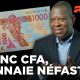 Monnaie coloniale, monnaie locale | MONEY | ARTE
