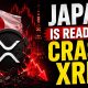 JAPAN IS READY TO CRASH XRP! WHAT YOU NEED TO KNOW BEFORE!