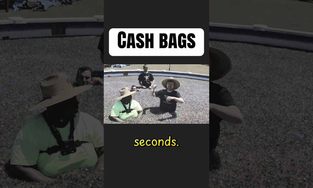 Cash #mrbeast #funny #challenge #shorts #shortsfeed #haha #lol #comedy #money #mrbeastshorts #viral
