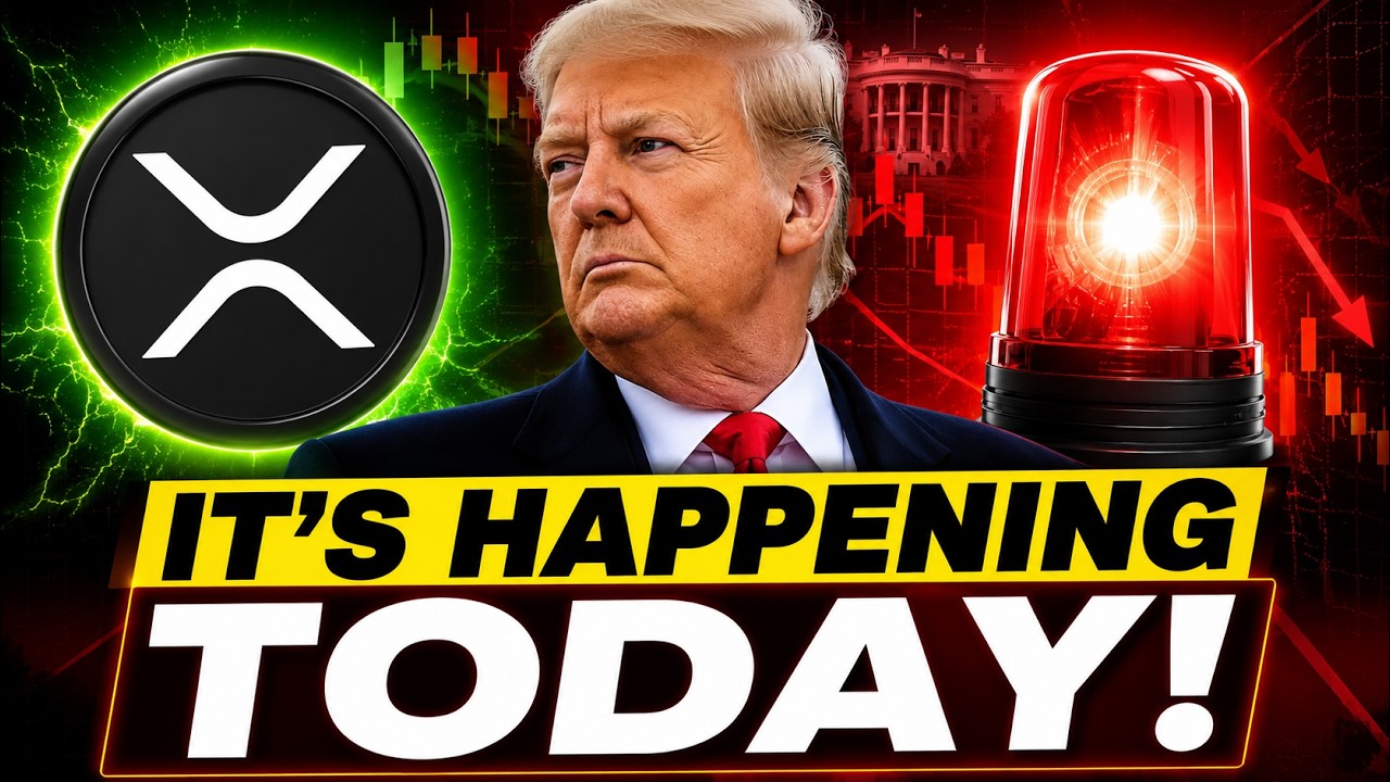 Only A few Hours Left! XRP HoldersToday It's Happening! Elon Musk Ready To change Tee World?