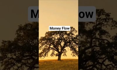 I Welcome Infinite Financial Abundance #manifestingriches #affirmations #wealthmindset